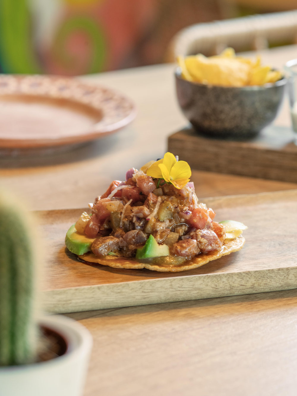 Tostada mit Fleisch und Avocado, Kaktus als Tischdeko