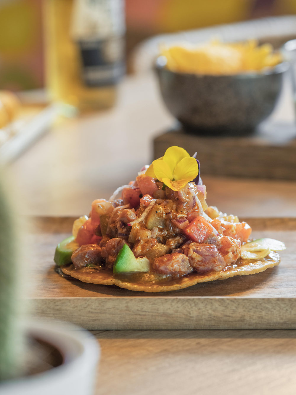 Tostada guarnita, avocado e coriandolo